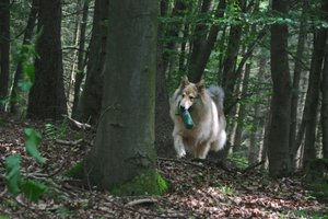 8_Verloren Gefunden.JPG 8_Verloren Gefunden.JPG