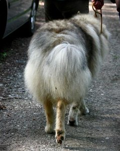 99_Ende.JPG 99_Ende.JPG