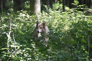 9_Wo gehts lang.JPG 9_Wo gehts lang.JPG
