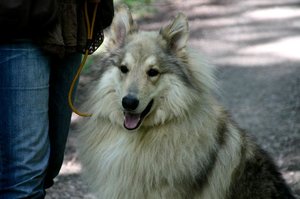 11_Wann bin ich wieder dran.JPG 11_Wann bin ich wieder dran.JPG