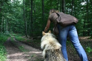 12_Voran zum Stab.JPG 12_Voran zum Stab.JPG