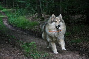 13_Ich habs.JPG 13_Ich habs.JPG