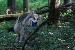 14_Schräglage.JPG 14_Schräglage.JPG