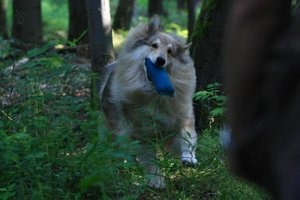 15_Stolz ein Dummy zu haben.JPG 15_Stolz ein Dummy zu haben.JPG