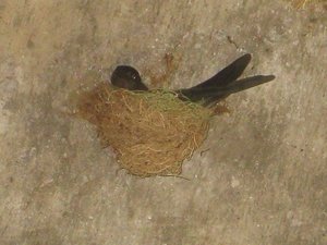 f Urlaub Bilda 170.jpg