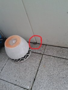 Mäuschen (640x480).jpg Mäuschen (640x480).jpg