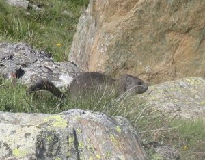 3531333762613630.jpg 3531333762613630.jpg