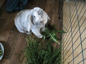 IMG_3138_zps454986ef.jpg IMG_3138_zps454986ef.jpg