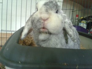 IMG-20140607-WA0001_zps12de0c76.jpg IMG-20140607-WA0001_zps12de0c76.jpg