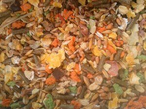 uploadfromtaptalk1407945510540.jpg uploadfromtaptalk1407945510540.jpg