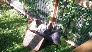 freilauf 4 einstein und galileo.jpg