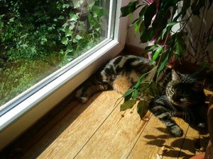 uploadfromtaptalk1426433243107.jpg uploadfromtaptalk1426433243107.jpg