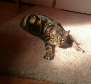 uploadfromtaptalk1426875510739.jpg uploadfromtaptalk1426875510739.jpg