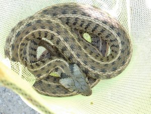 DSCI0533_small.jpg DSCI0533_small.jpg