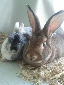 uploadfromtaptalk1408743234194.jpg uploadfromtaptalk1408743234194.jpg