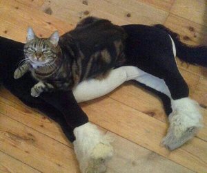 uploadfromtaptalk1408890760647.jpg uploadfromtaptalk1408890760647.jpg