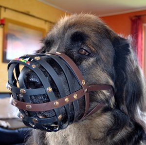 DSC_0324.JPG DSC_0324.JPG