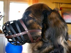 DSC_0323.JPG DSC_0323.JPG