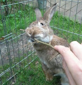 uploadfromtaptalk1409172258776.jpg uploadfromtaptalk1409172258776.jpg