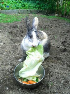 uploadfromtaptalk1409172269835.jpg uploadfromtaptalk1409172269835.jpg