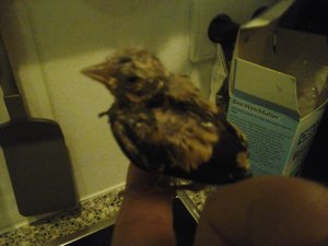 20140828_020559 (2) (1024x768).jpg