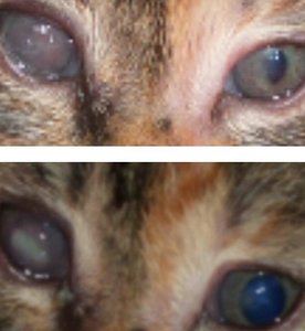 2014-08-28 11.57.36.jpg