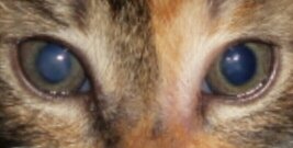 2014-09-02 22.00.35.jpg