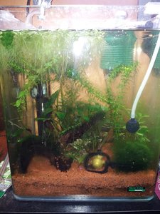 20140911_070557.jpg 20140911_070557.jpg