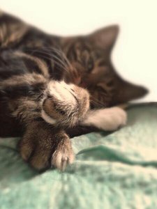 uploadfromtaptalk1411072749579.jpg uploadfromtaptalk1411072749579.jpg