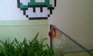 IMAG3416.jpg IMAG3416.jpg