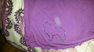 sheltie invasion II.jpg