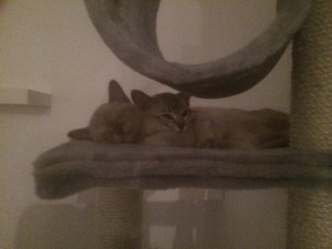 10634149_846760912008959_1098574646_n.jpg 10634149_846760912008959_1098574646_n.jpg