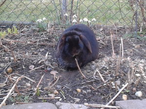 2014-02-26 15.50.09.jpg