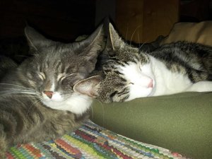 uploadfromtaptalk1411665381573.jpg uploadfromtaptalk1411665381573.jpg