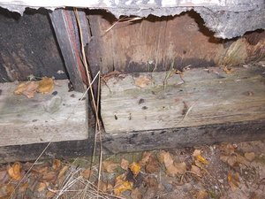 DSCI3972.JPG DSCI3972.JPG