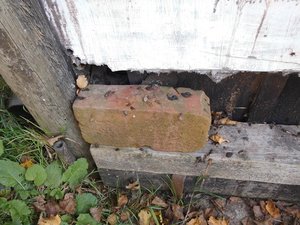 DSCI3971.JPG DSCI3971.JPG