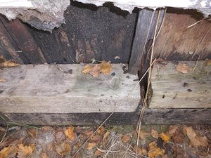 DSCI3973.JPG DSCI3973.JPG