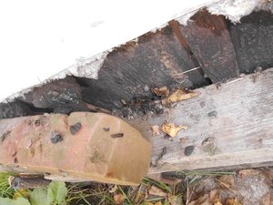 DSCI3974.JPG DSCI3974.JPG