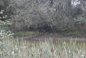 5tq2c2m7.jpg 5tq2c2m7.jpg