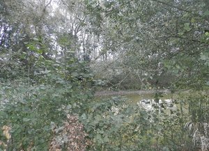 xs4yplf2.jpg xs4yplf2.jpg