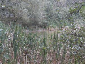 jzxwglct.jpg jzxwglct.jpg