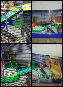 2014-10-05 21.29.47.jpg