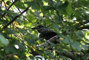 IMG_9277-640x427.JPG IMG_9277-640x427.JPG