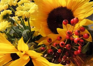 Blumen.jpg Blumen.jpg