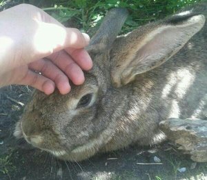 uploadfromtaptalk1413318972114.jpg uploadfromtaptalk1413318972114.jpg