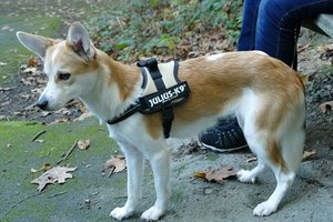 P1000282(2).JPG P1000282(2).JPG