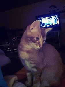 10610761_857717684240705_6881637811187466126_n.jpg 10610761_857717684240705_6881637811187466126_n.jpg