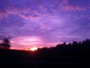 uploadfromtaptalk1414100224930.jpg uploadfromtaptalk1414100224930.jpg