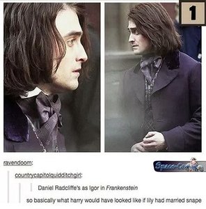 If+Lily+had+married+snape+funny+celebrities.jpg