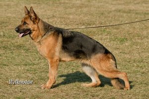 freda_03_12-600x399.jpg freda_03_12-600x399.jpg